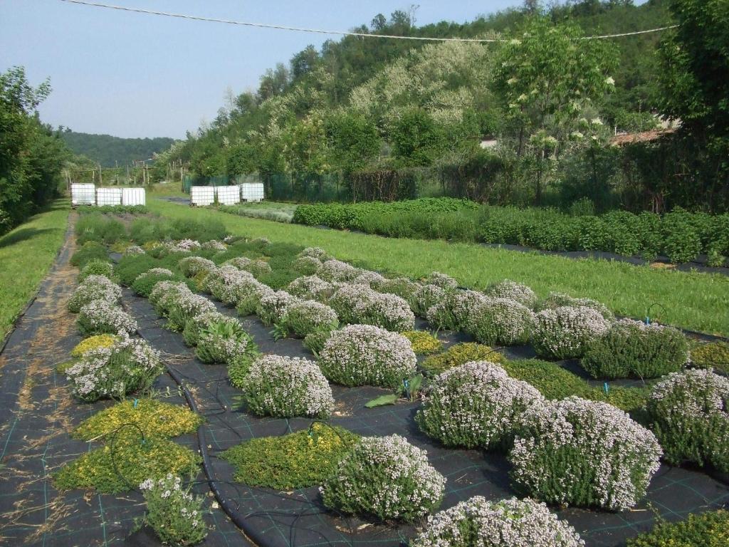 Agriturismo Cascina Rossano Provaglio d'Iseo Ngoại thất bức ảnh
