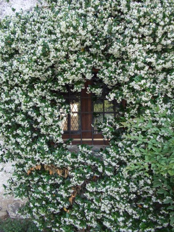 Agriturismo Cascina Rossano Provaglio d'Iseo Ngoại thất bức ảnh