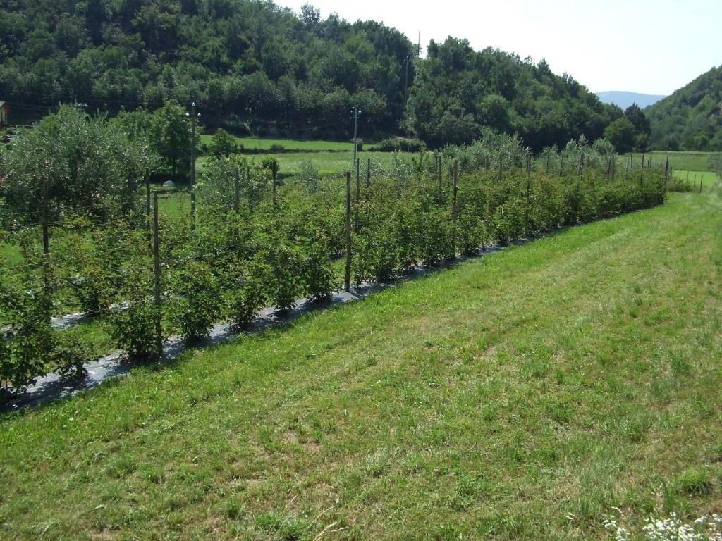 Agriturismo Cascina Rossano Provaglio d'Iseo Ngoại thất bức ảnh